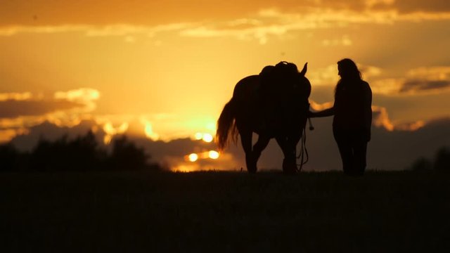 Woman riding horse on field during sunset