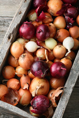 Onions mix in wooden crate