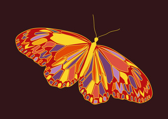 Abstract colorful butterfly isolated illustration on brown background.