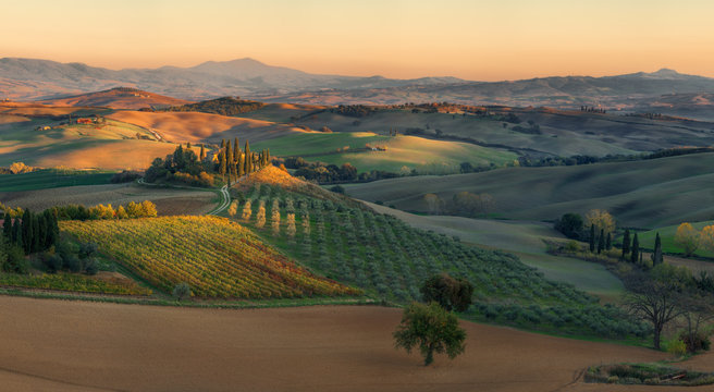 Italy. Tuscany. Evening light in the Val d'Orcia