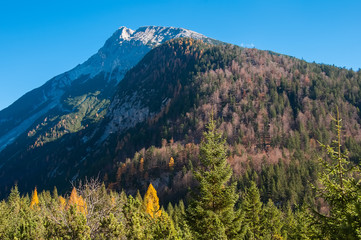 Mountain park wildlife reserve Karwendel in Alps Europe Austria. Mountain tops with trees