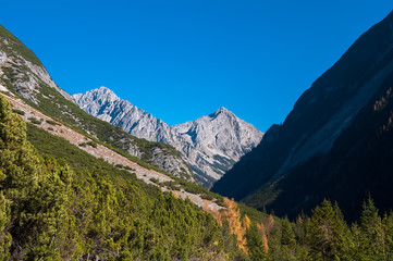 Fototapeta na wymiar Mountain park wildlife reserve Karwendel in Alps Europe Austria