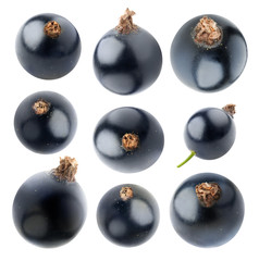 Collection of isolated blackcurrants