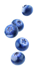 Isolated blueberries flying in the air © ChaoticDesignStudio