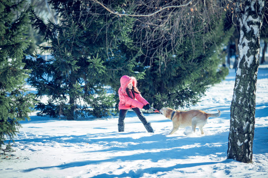 girl with a dog Labrador puppy playing in winter outdoors fun
