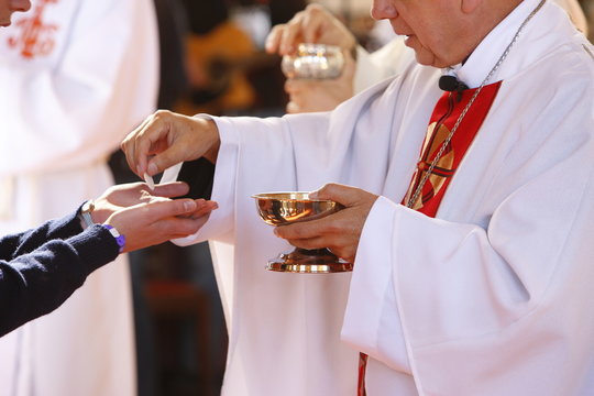 Communion during Mass, World Youth Day, Sydney, New South Wales