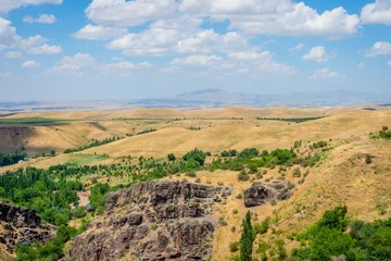 Foto op Plexiglas Endless kazakh grassland steppe landscape © dinozzaver