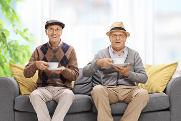 Two joyful elderly men with cups