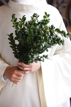 Boxwood branch used for blessing, Paris, France