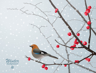 Christmas card with bird sitting on bare branch