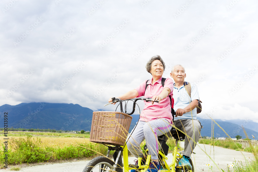 Sticker happy senior couple riding bicycle on country road