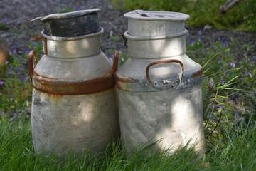 Milchkannen bei Vidimyri (Island)