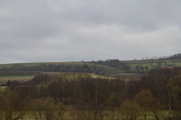 Fototapeta premium Weiden und Bäume im Herbst