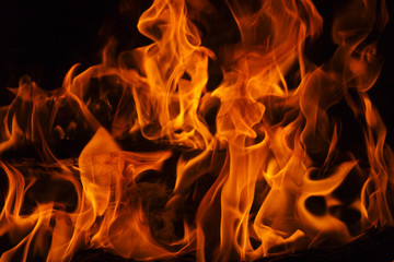 Fire flames on black background.