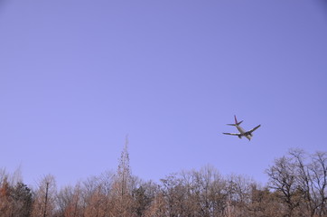자연