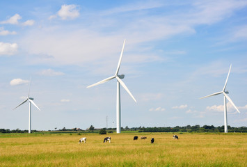 Wind energy. Three wind turbines 