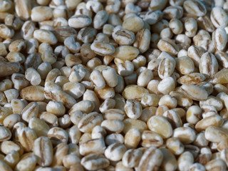 Grain wheat