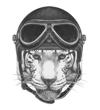 Portrait of Tiger with Vintage Helmet. Hand drawn illustration.