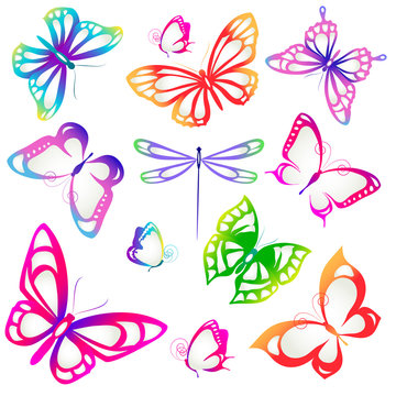 color butterflies,isolated on a white