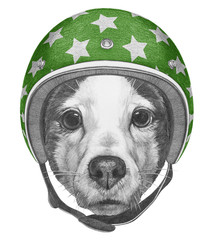 Portrait of Jack Russell with Helmet. Hand drawn illustration.