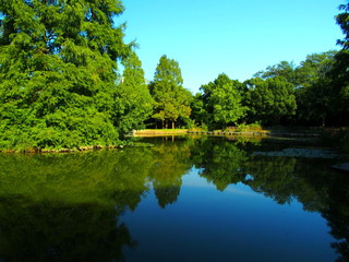 公園の水辺風景