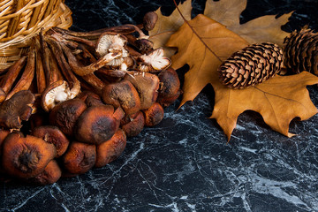 Wild mushrooms on black marble background.