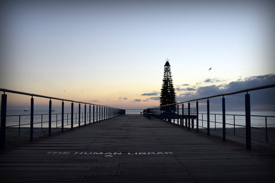 christmas tree on pier in Larnaca Cyprus