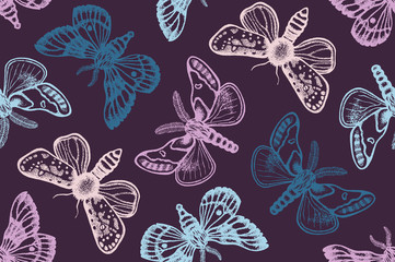 Seamless pattern with moths. Hand drawn. Vector illustration.