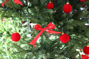 Star lanterns / A background of star lanterns