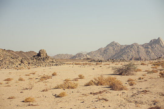 Mountain in desert
