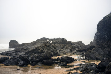 Poldhu Cove in mist