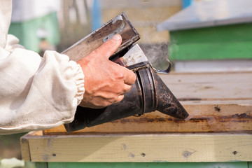 Beekeeper is working with bees and beehives on the apiary.