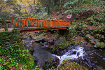 Minoo waterfall in autumn, Osaka, Japan