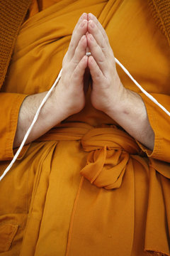 Monk praying, Wat Velouvanaram, Bussy Saint Georges, Seine et Marne, France