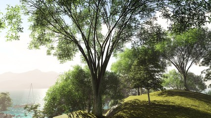 Forest at the lake shore in summer 3d rendering