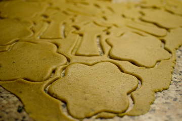 Dough for gingerbread cookies