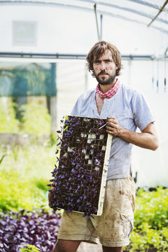 A man holding a frame with small seedlings in each pocket.