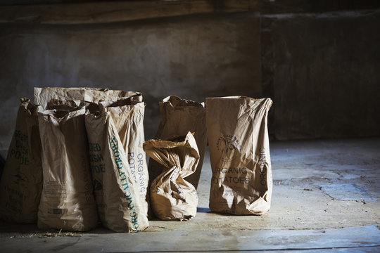 Sacks of fresh potatoes bagged up in a barn in a patch of sunlight. 