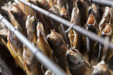 production of smoked fish