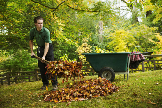 A gardener using a leaf blower to clear up autumn leaves in a garden. 