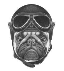 Portrait of Pug Dog with Vintage Helmet. Hand drawn illustration.