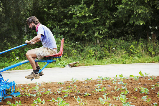 Man sat in a cultivator on a field with rows of small plants.