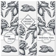 Vector set of templates with hand drawn branch of of almond.