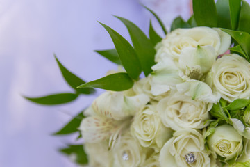 Wedding rings