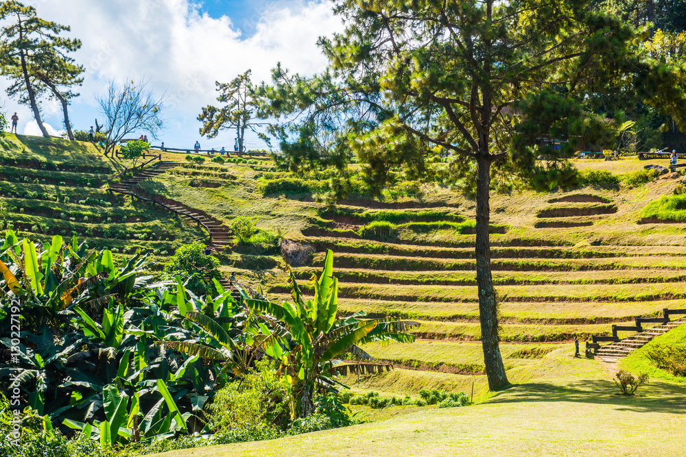 Wall mural landscape view of huai nam dang national park