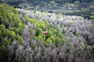 Пейзажи Курортного парка Кисловодска, Ставропольский край, Россия © free2trip