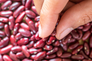 Image of red kidney beans on hand