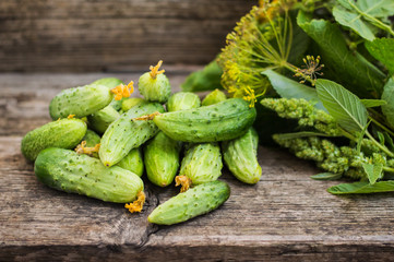 Fresh cucumbers on a wooden background