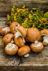 Royal champignons on a wooden background. Selective focus. Close-up