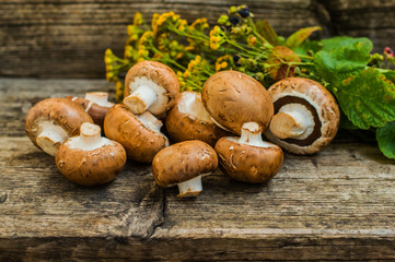 Royal champignons on a wooden background. Selective focus. Close-up